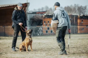 Kurs Trenerski KK9 - Jak zostać trenerem psów